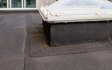 disadvantages of Baile An Truiseil flat roofs